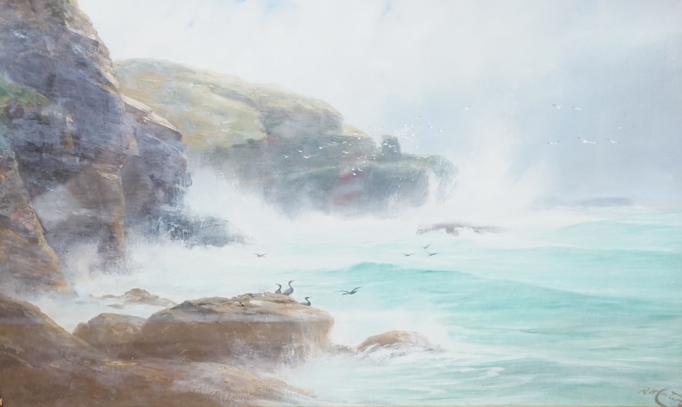 Richard Harry Carter (1839-1911), oil, Seascape with rocky cliffs, signed, 39 x 59cm. Condition - fair